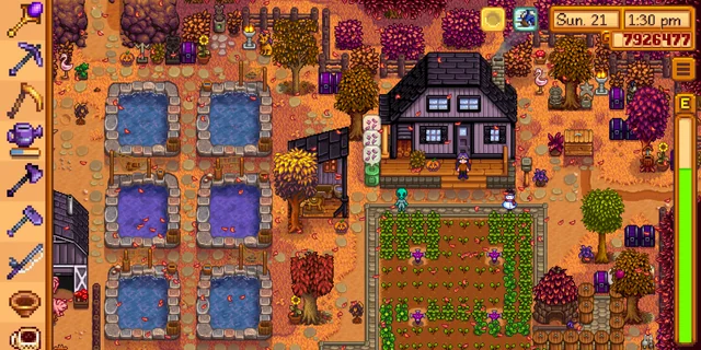 Stardew Valley